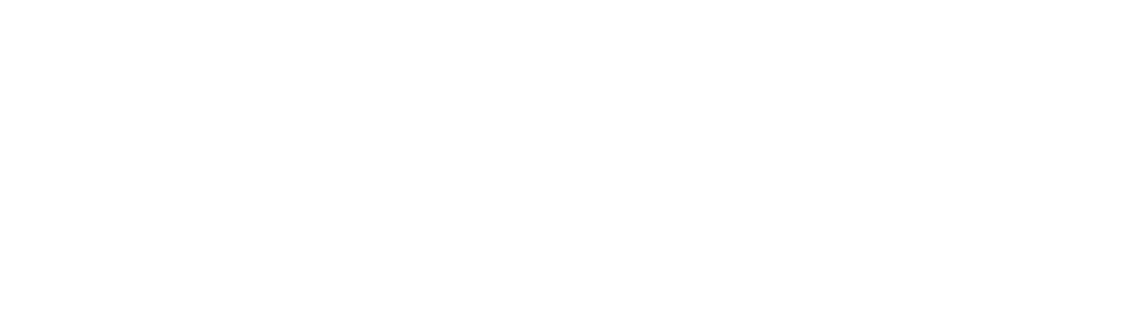 FlyVision